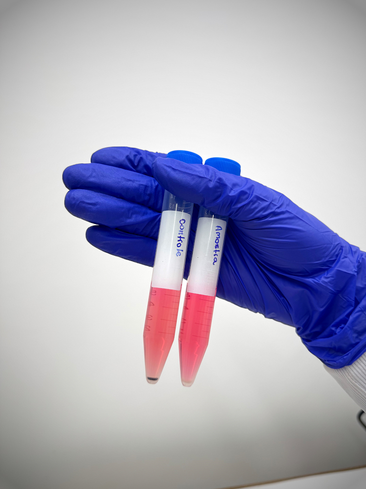 nucelo-vitro-02
