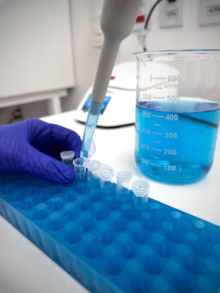 nucelo-vitro-05