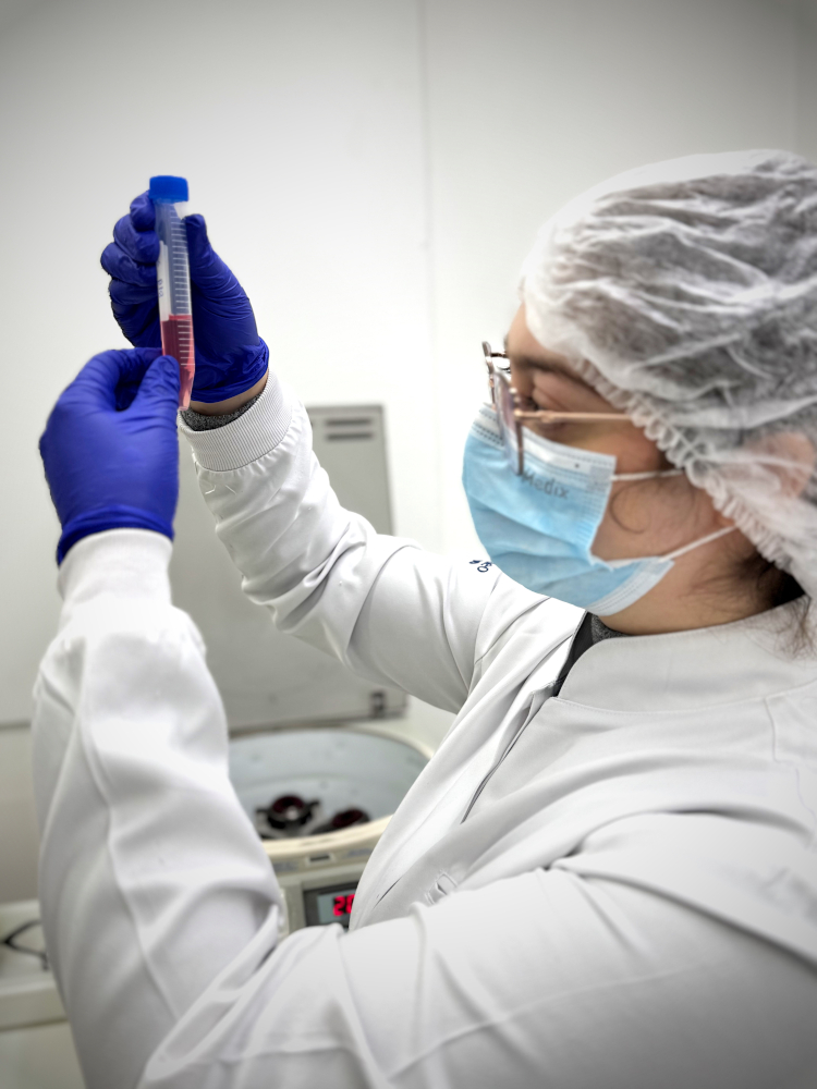 nucelo-vitro-07
