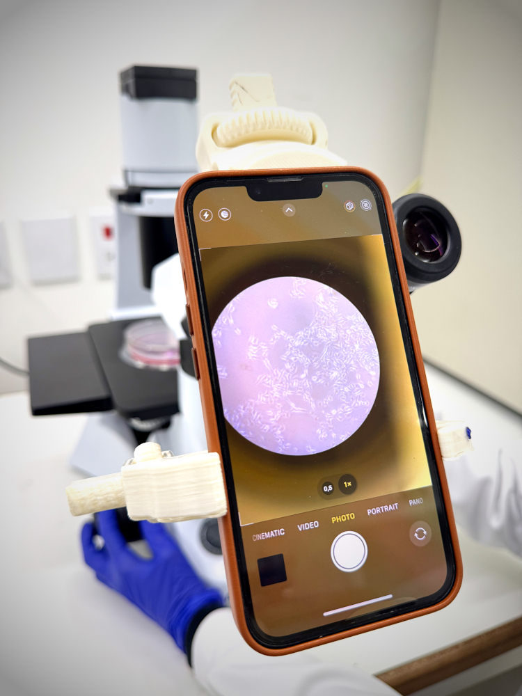 nucelo-vitro-08
