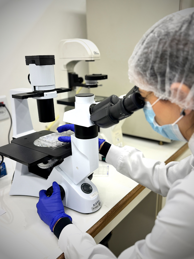 nucelo-vitro-15